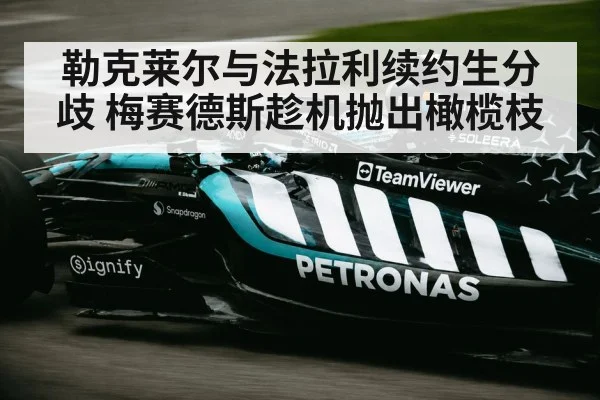 Mercedes F1 team